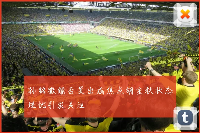 孙铭徽能否复出成焦点胡金秋状态堪忧引发关注
